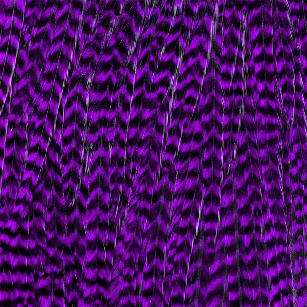 Ewing Grizzly Half Saddles