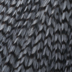 Ewing Top Capes Dyed