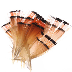 Hareline 황금꿩 목깃 티펫