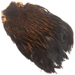 FFGene India Hen Capes