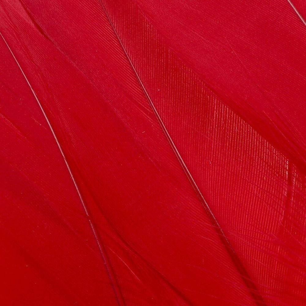 Red/Scarlet