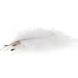 Wapsi marabuszerű strucctoll