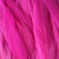 FFGene Cock Schlappen