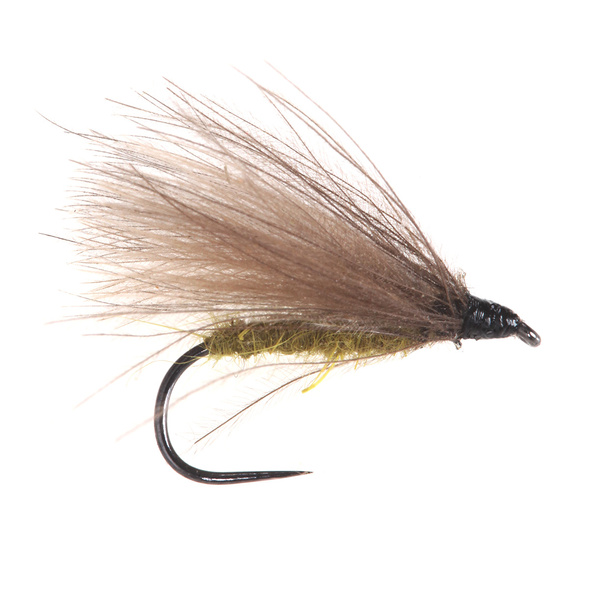 CDC Sedge Olive