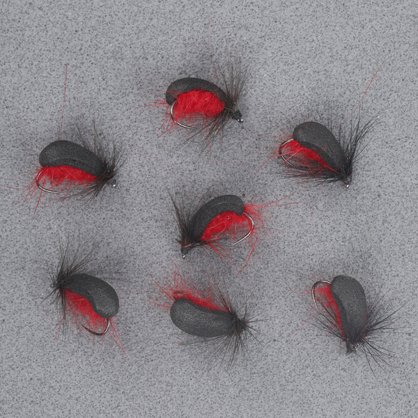 Red Body Foam Beetle