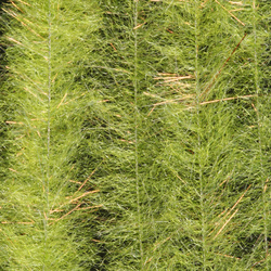 H2O Streamer Brush 1 inch (flash)