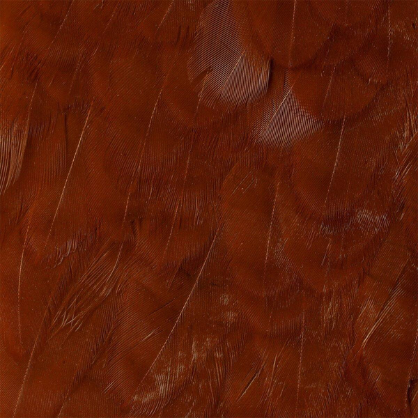 Wapsi Hen Saddle Patches