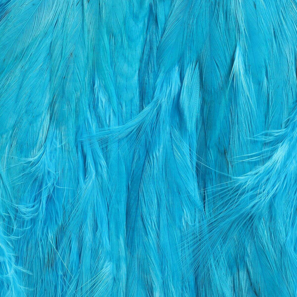 Kingfisher Blue