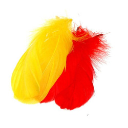 FFGene鹅肩羽