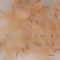 Hareline CDC Oiler Puffs