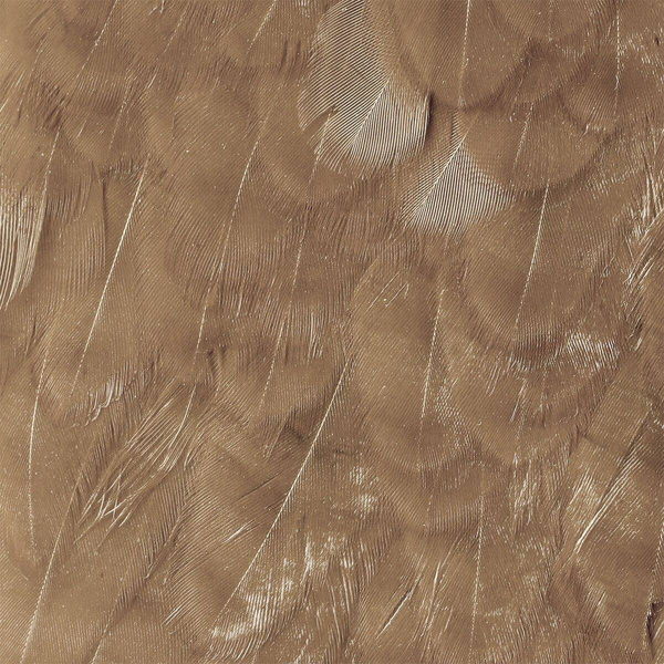 Wapsi Hen Saddle Patches