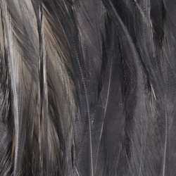 FFGene Strung Saddles Hackle