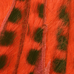 Wapsi Barred Rabbit Half Skin Zonked