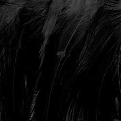 Wapsi Deceiver Strung Rooster Saddles Medium