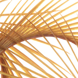 Hareline Stripped Goose Biots