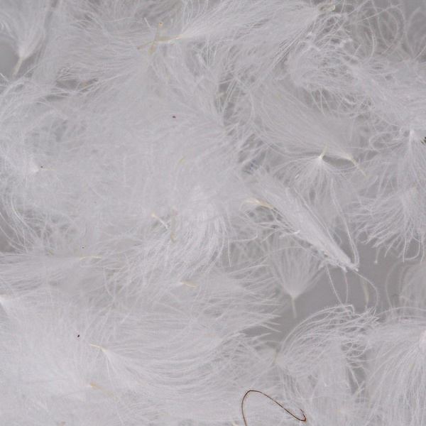 CDC-Puffs Hareline Oiler