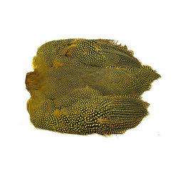 Wapsi parelhoenhuid met veren