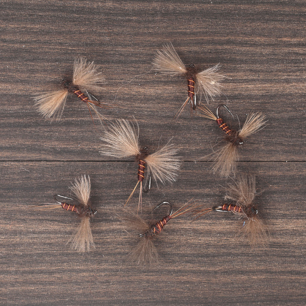 Brown Spinner