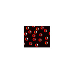 Muselių rišimo akys FFGene Prismatic 3D Eyes