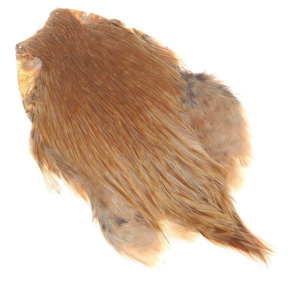 Шиен кейп от петел FFGene India, клас A