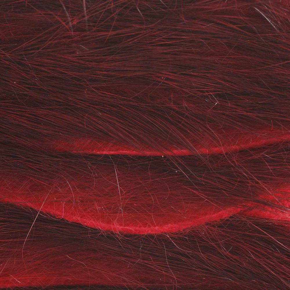 Leech.Red