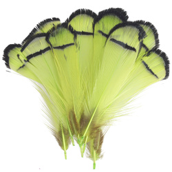 FFGene Deimantinio fazano kaklo plunksnos (tipetai)