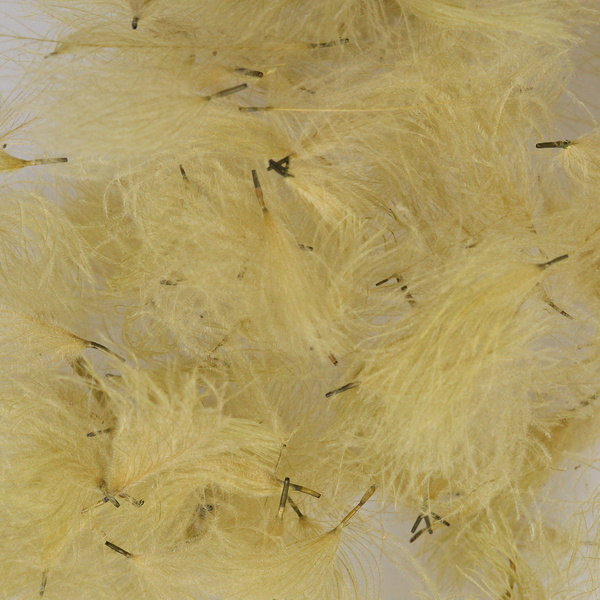 Hareline CDC Oiler-pluimpjes