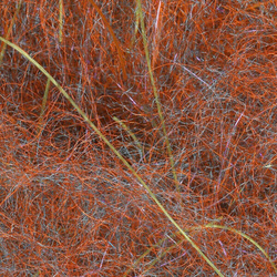 Hareline Cohens Carp Dub