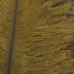 Wapsi Ostrich Marabou