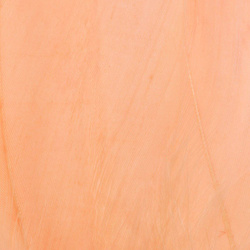 FFGene Goose Shoulders