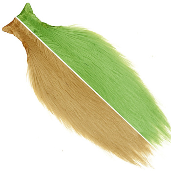 Ewing kuke poolik kuklakape