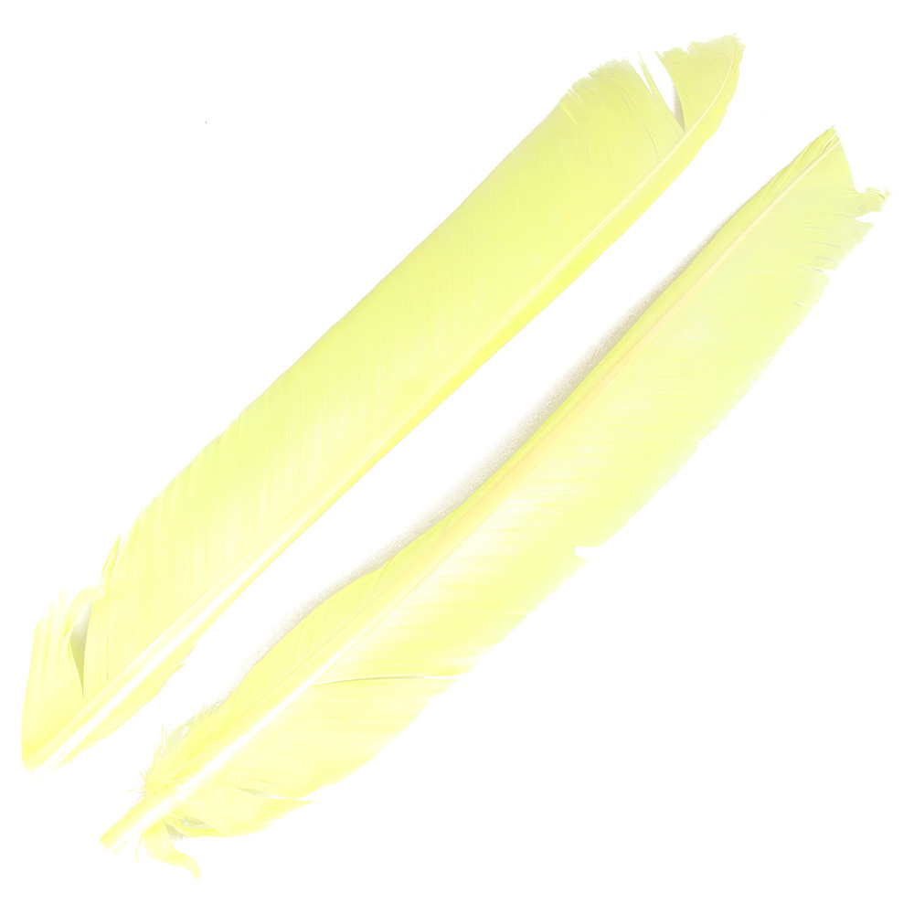 Fl. Chartreuse