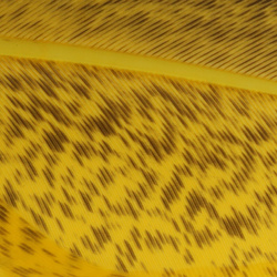 Wapsi Turkey Wing Quill Mottled