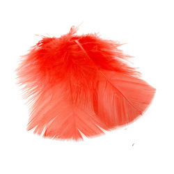 FFGene Ibis Substitute