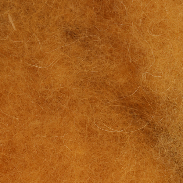Wapsi Camel Dubbing