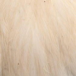 Kokošja vratna koža s perjem Hareline