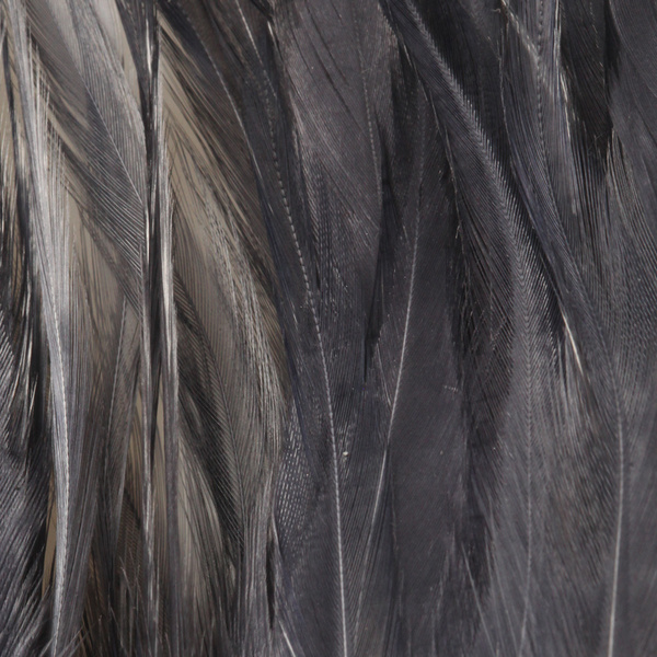 FFGene Strung Saddles Hackle