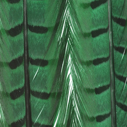 FFGene Pheasant Center Tail