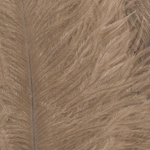 Wapsi Ostrich Marabou