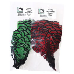 Hareline Lady Amherst Head