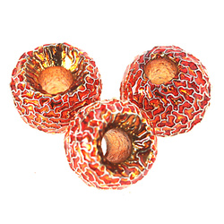 FFGene Tungsten Furrow Beads