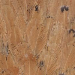 FFGene India Hen Saddles