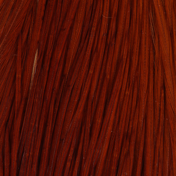 Kohoutí skalp FFGene Howard Hackle Howard Hackle #3