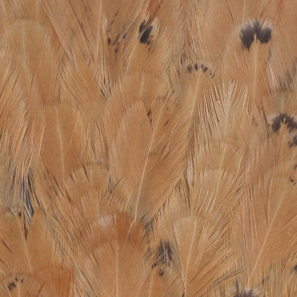 FFGene India Hen Saddles