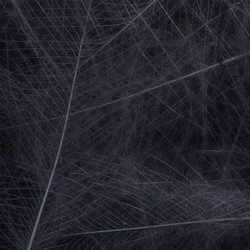 Spirit River UV2 Select CDC