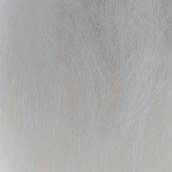 Sybai Icelandic Sheep