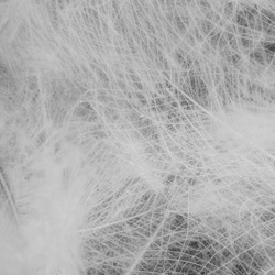 FFGene CDC Natural Jambo Pack - 1 gr