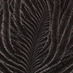 Hareline jaanalinnusule kiud