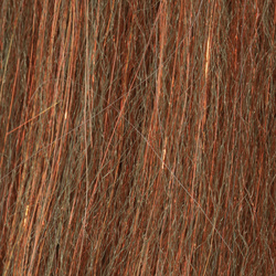 H2O Sculpting Flash Fibre