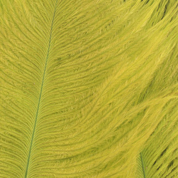 Wapsi Ostrich Marabou